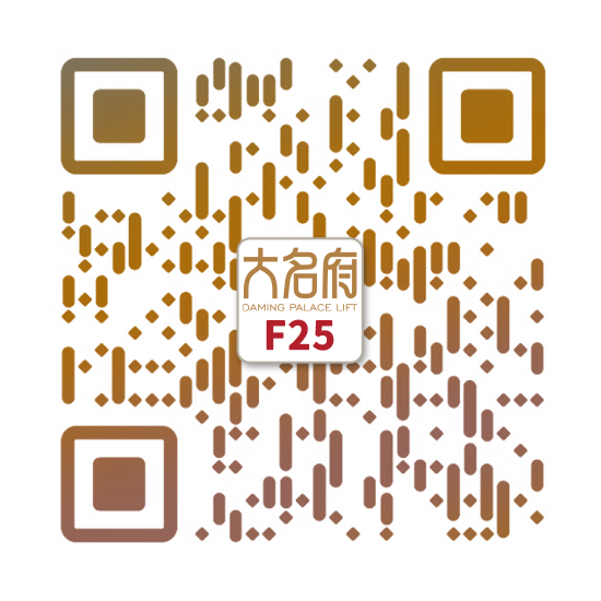 简约风别墅电梯F25