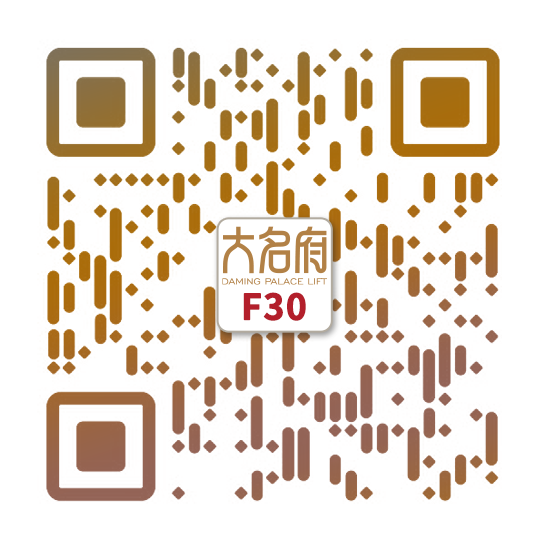 简约风别墅电梯F30